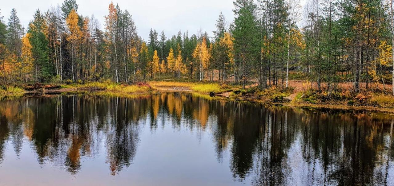 Cozy Log Cabin By Invisible Forest Lodge Rovaniemi Exterior foto